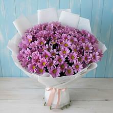 Букет цветов из:  Хризантемы в Невинномысске
