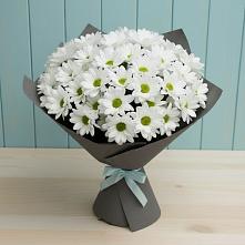 Букет цветов из:  Хризантемы в Невинномысске