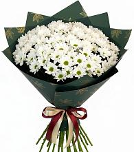 Букет цветов из:  Хризантемы #REPLACE_PRED# Невинномысске
